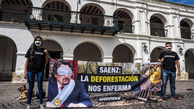 Photo of SALTA: EXIGEN RESTAURAR EL BOSQUE EN EL DESMONTE ILEGAL MÁS GRANDE DEL PAÍS