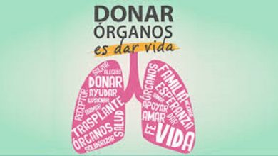 Photo of ARGENTINA ALCANZÓ UN NUEVO RÉCORD MENSUAL DE DONANTES DE ÓRGANOS