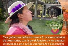 Photo of Pueblos Originarios: Ratifican el Convenio 169 de la OIT ante el Estado