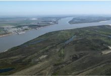 Photo of Argentina Sangra por las Barrancas del Río Paraná