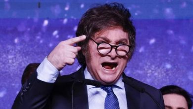 Photo of Milei intenta eliminar el regimen nacional sobre la extranjerización del suelo argentino