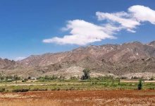 Photo of Alerta por extranjerización: Salta en estado “crítico” por su alto índice territorial en manos extranjeras