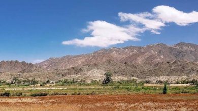 Photo of Alerta por extranjerización: Salta en estado “crítico” por su alto índice territorial en manos extranjeras