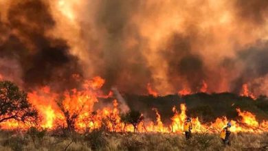 Photo of PRESIONES E INCENDIOS A DÍAS DE DEBATIR LA EXTRANJERIZACIÓN DE TIERRAS ARGENTINAS