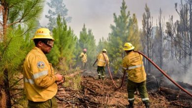 Photo of FRENO A CAMBIOS EN LEYES DE MANEJO DEL FUEGO Y DE TIERRAS RURALES: ES UNA VICTORIA DE LA GENTE