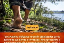 Photo of Declaración de las Naciones Unidas sobre los Derechos de los Pueblos Indígenas