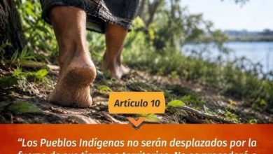 Photo of Declaración de las Naciones Unidas sobre los Derechos de los Pueblos Indígenas