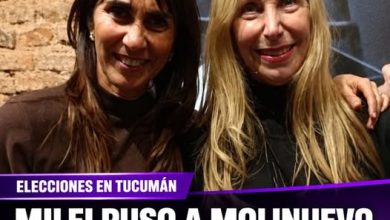 Photo of MOLINUEVO LA ELEGIDA POR MILEI PARA ENFRENTAR A ROSANA CHAHLA