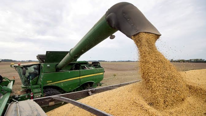 Campo-Agricultura