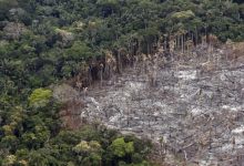 Photo of EL VATICANO ADVIERTE QUE EL DAÑO AMBIENTAL ES PECADO