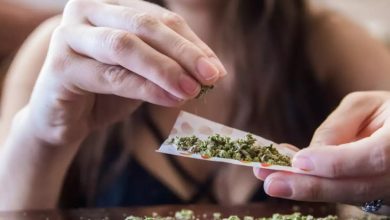 Photo of CÓMO AFECTA EL CONSUMO DE MARIHUANA ENTRE LOS MÁS JÓVENES