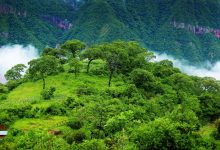 Photo of GOBIERNO NACIONAL INCUMPLE EL CONVENIO 169 DE LA OIT EN RESERVA DE LA BIOSFERA DE LAS YUNGAS