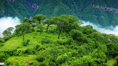 Photo of GOBIERNO NACIONAL INCUMPLE EL CONVENIO 169 DE LA OIT EN RESERVA DE LA BIOSFERA DE LAS YUNGAS