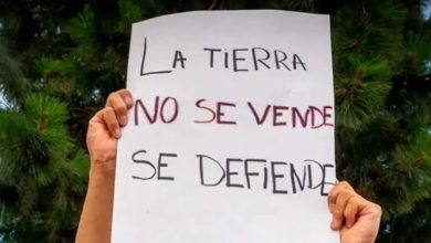 Ley-de-Tierras